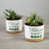 Ceramic Succulent Plant Pot - Teacher Appreciation Gift
